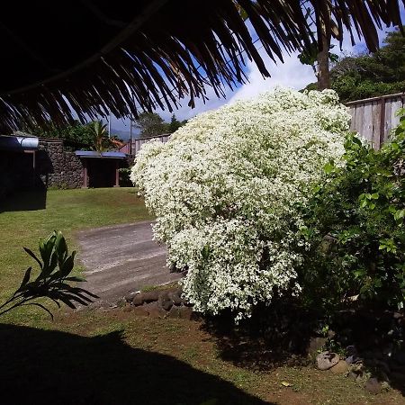 Omati Lodge Taravao Bagian luar foto