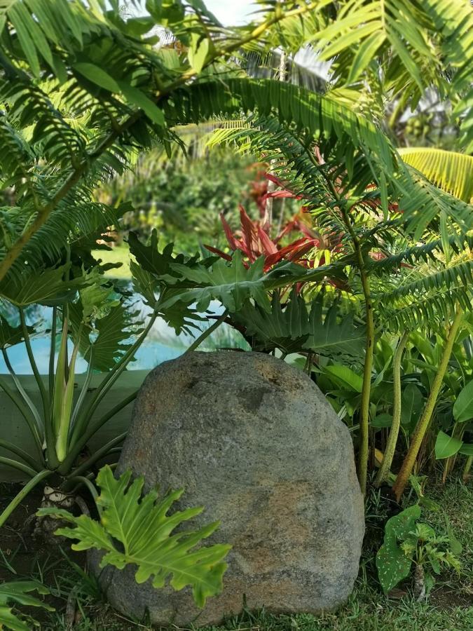 Omati Lodge Taravao Bagian luar foto