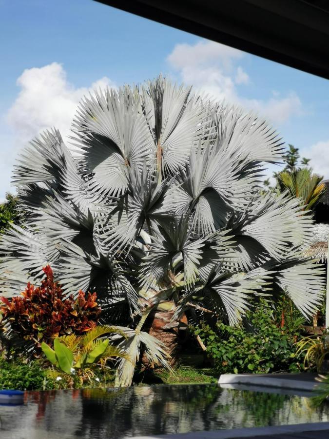 Omati Lodge Taravao Bagian luar foto
