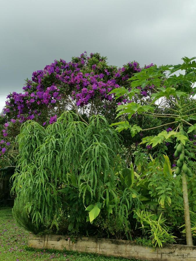 Omati Lodge Taravao Bagian luar foto