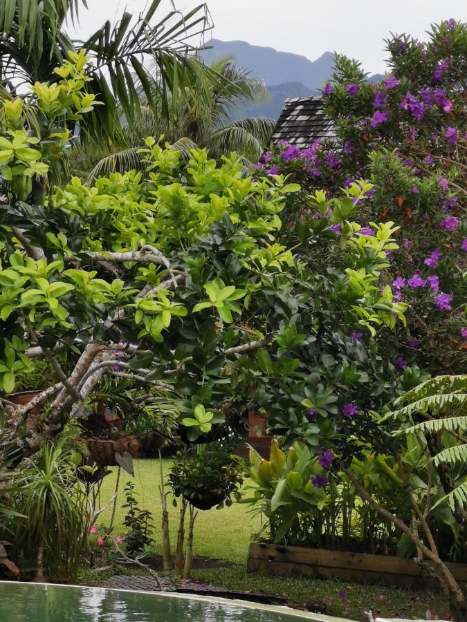 Omati Lodge Taravao Bagian luar foto