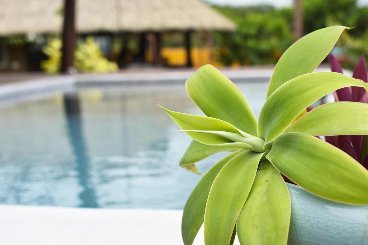 Omati Lodge Taravao Bagian luar foto